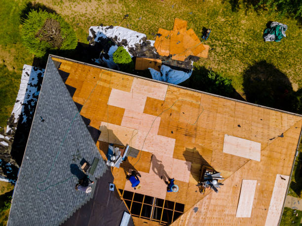 Best Roof Gutter Cleaning  in Beaumont, TX